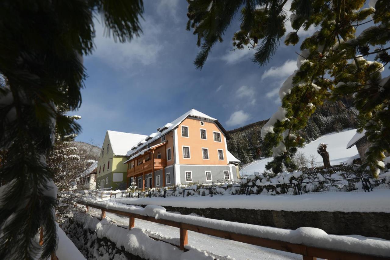Pirkerhof Apartment